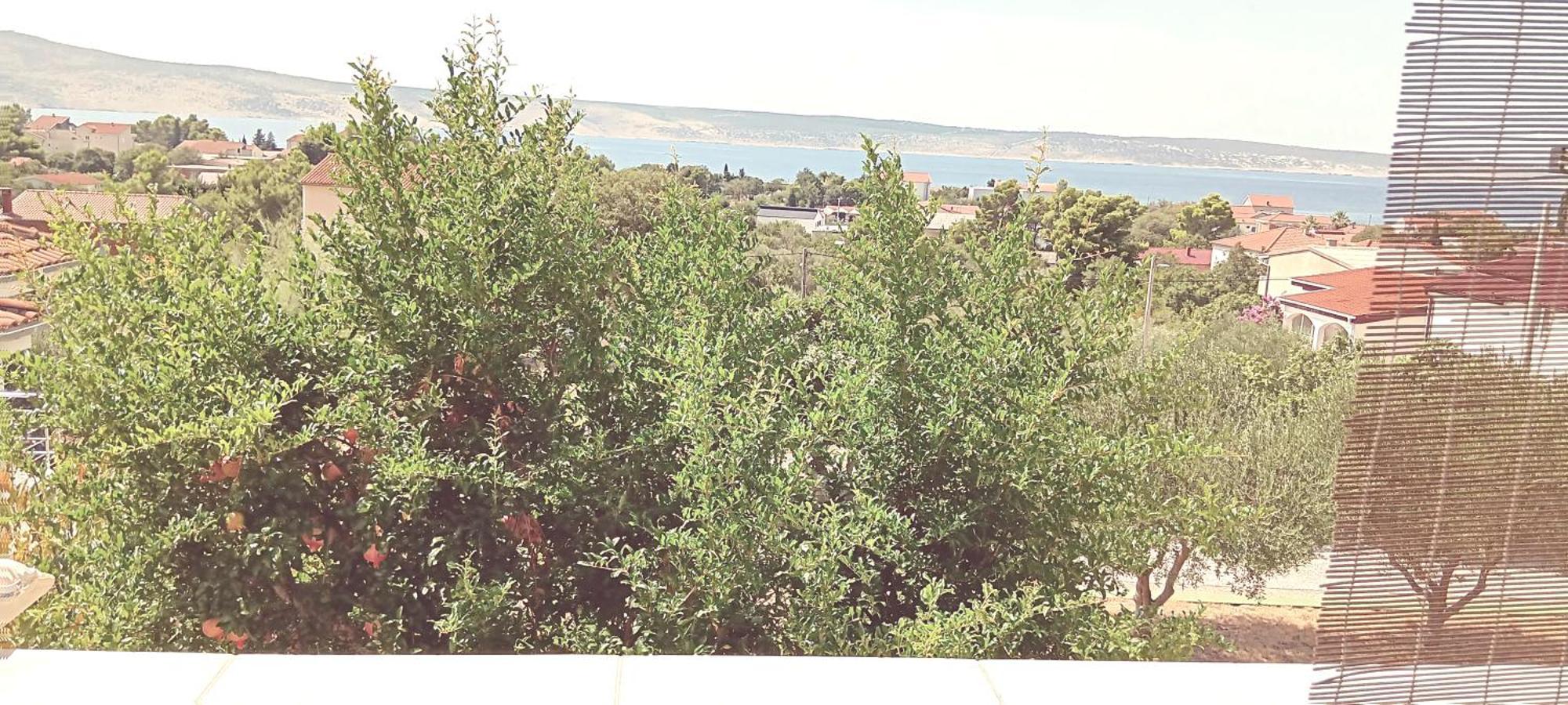 Arts Room Jasmina With Sea View Bikers And Pets Are Welcome Starigrad Paklenica Exterior foto